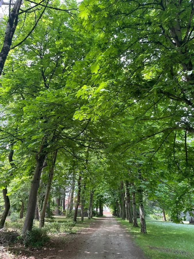 Domaine La Belle Histoire - Gite Cote Jardin Besset Pensjonat
